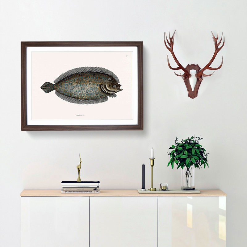 Sole Fish by Mark Catesby - Picture Frame Painting Print, Walnut Framed, 62cm H x 87cm W x 2cm D