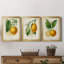 «French Lemon I», ensemble de 3 peintures sur toile encadrées-1674844644-1674844667