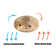 Neldon Ceiling Fan with Light Kit
