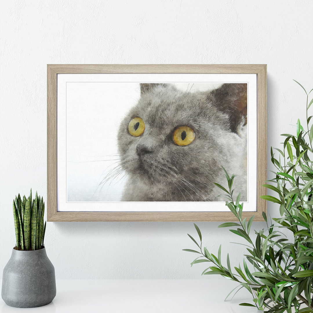 British Shorthair Cat Vol.5 - Picture Frame Painting