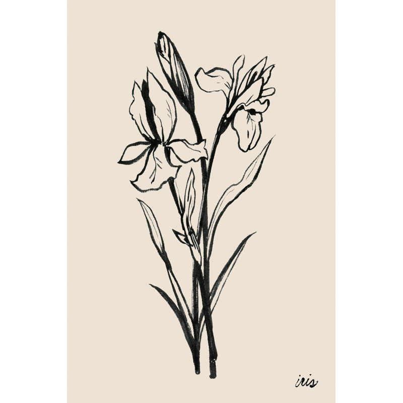Iris I by Grace Popp - Painting, 46cm H x 30cm W, Wrapped Canvas