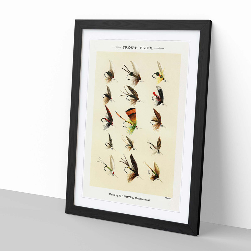 Trout Fishing Flies Version 6 by Mary Orvis Marbury - Picture Frame Painting Print, 50cm H x 35cm W x 2cm D, Black