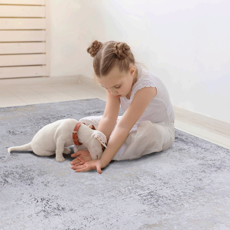 Washable Rug 2' X 3' Doormat Rug, Rectangle 2' x 3'
