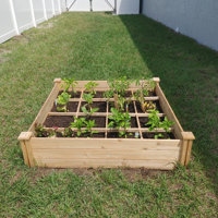 Roswell Raised Garden Bed Kit with 9 Growing Grid, Wooden Ground Planter  Box for Plants & Herbs