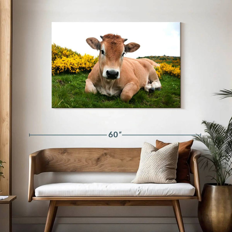 Adorable vache Aubrac, H 30 po x l 45 po