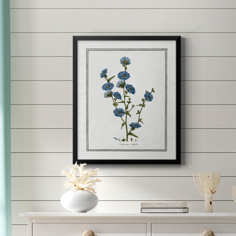Toile encadrée de qualité supérieure Soft Botanical I - prête à être accrochée, Noir, H 24 po x l 20 po