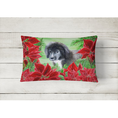  Newfoundland Puppy Poinsettias Indoor/Outdoor Throw Pillow