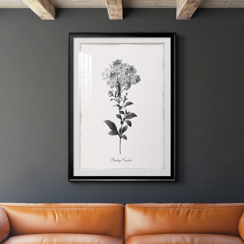 Simplement Cape Plomb - Reproduction d'art sur papier encadrée, Papier encadré noir, H 30,5 po x l 42,5 po x P 1,5 po