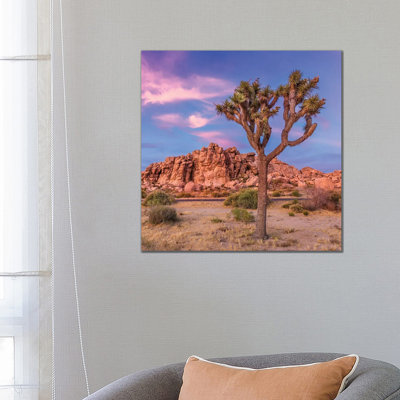 Joshua Tree Evening Scenery 1 Piece Wrapped Canvas Wall Art
