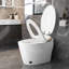 Toilette de bidet intelligente avec siège à ouverture / fermeture automatique, chasse d'eau à jet siphonique, eau chaude, sécheuse, nuit, modes de chasse multiples Couvercle de siège intelligent et automatique, système, alimentation en eau, modes, sans fil