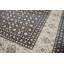 Oriental Area Rug
