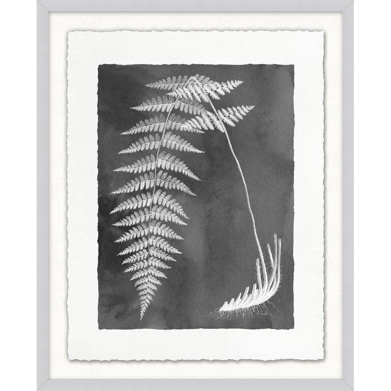 Fernspiration Gray 10' Framed Graphic Art Print on Glass