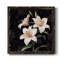 Garden Garden - Peinture sur toile encadrée-1372699761-1372742732