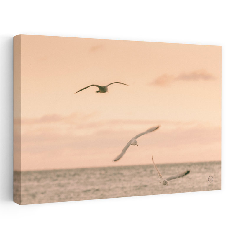 Coucher de soleil sur les côtes, bleu, nuage, oiseau gris, H 24 po x l 16 po