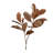 Fall Magnolia Leaf Spray