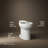 Highlineelongated Toilet Bowl-123403619