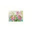 «Stargazer Lilies», art mural sur toile sans cadre 24 po x 18 po