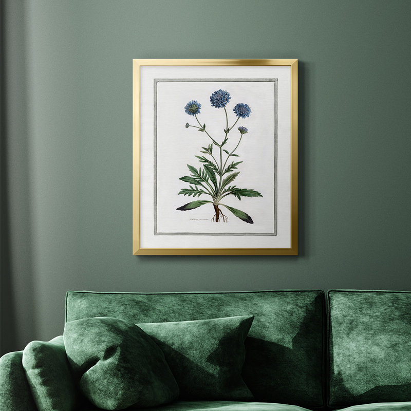 Toile encadrée de qualité supérieure Soft Botanical II - prête à être accrochée, Or, H 24 po x l 20 po