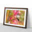 Hummingbird - Picture Frame Graphic Art Print-56632456-56632459