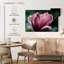 Fleur de magnolia Harnek en fleurs-107858932