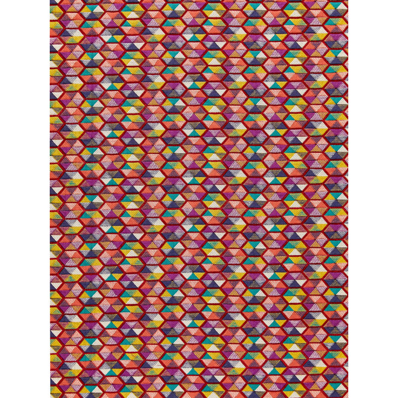 Hinson Library Carousel Fabric, Multi