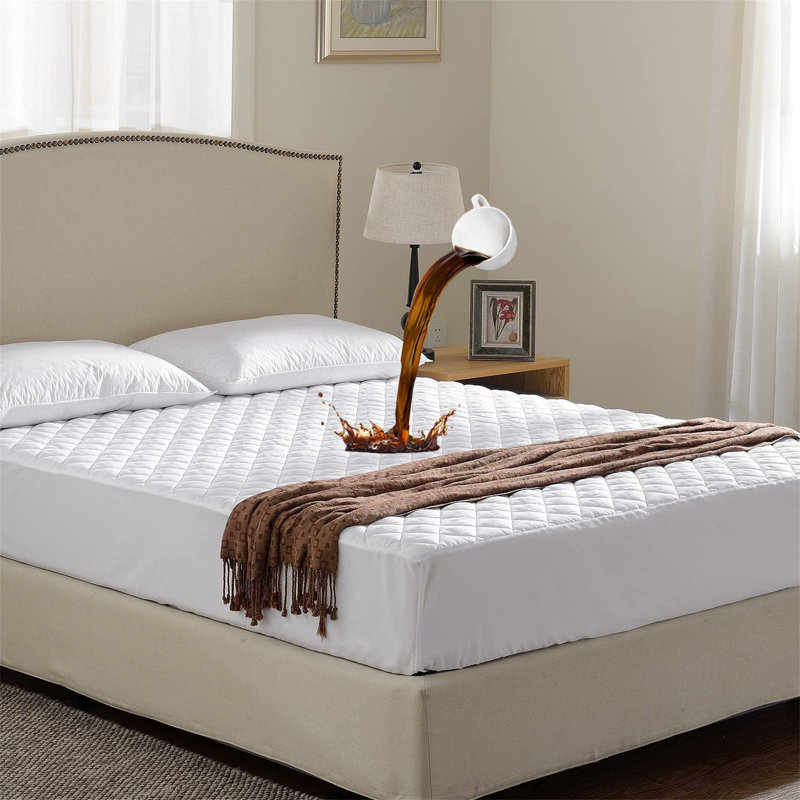 Olavarria Mattress Protector Case Pack