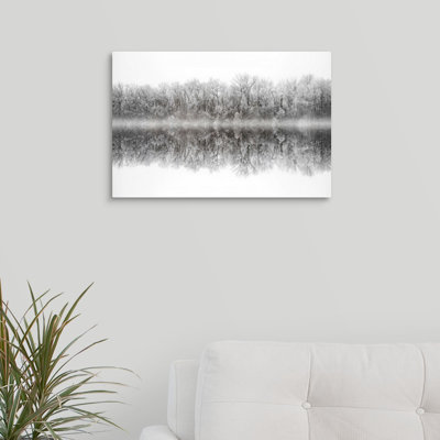 " White Purity " by Philippe Sainte-Laudy