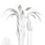 Reseda 2 - Light Candle Wall Light
