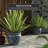 Prunty Handmade Ceramic Cachepot-729165961