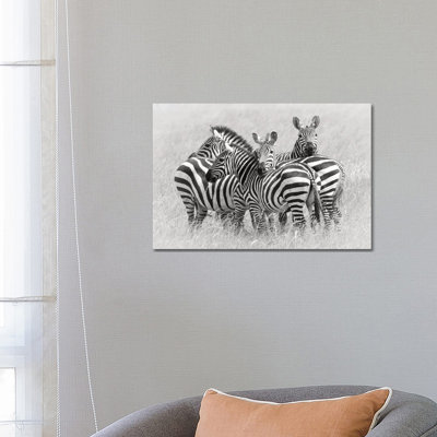 Zebras by Kirill Trubitsyn - Wrapped Canvas Print