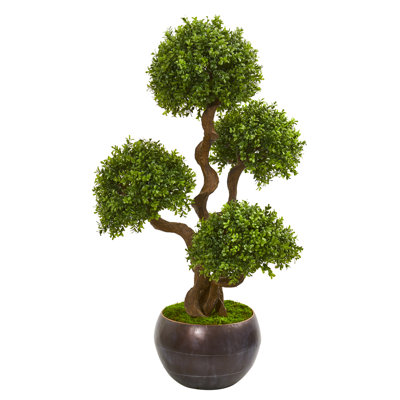 44 " H Faux Boxwood Topiary