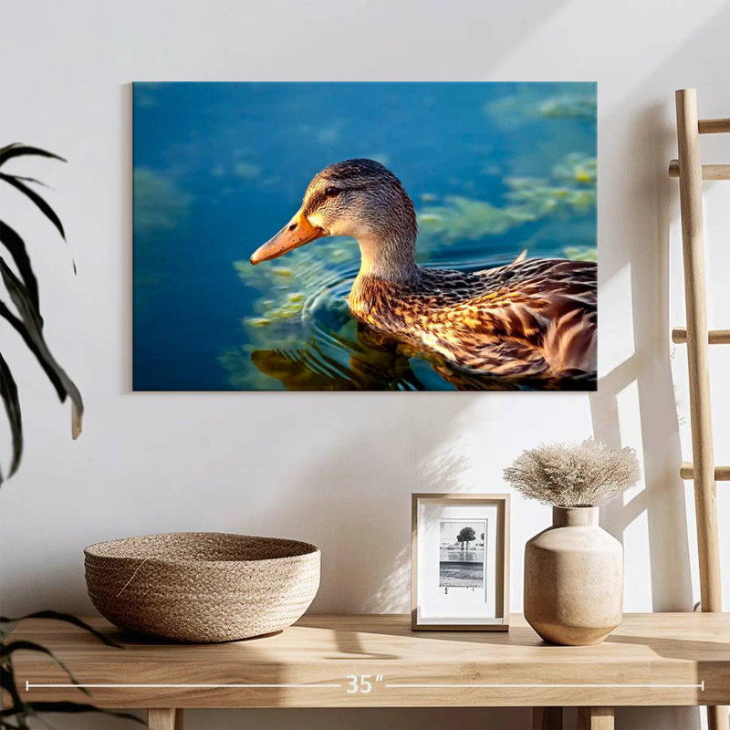 Canard colvert sur l'eau, H 16 po x l 24 po