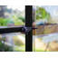 Palram - Ensemble de serre en aluminium en polycarbonate Canopia-1000907199-1006221287