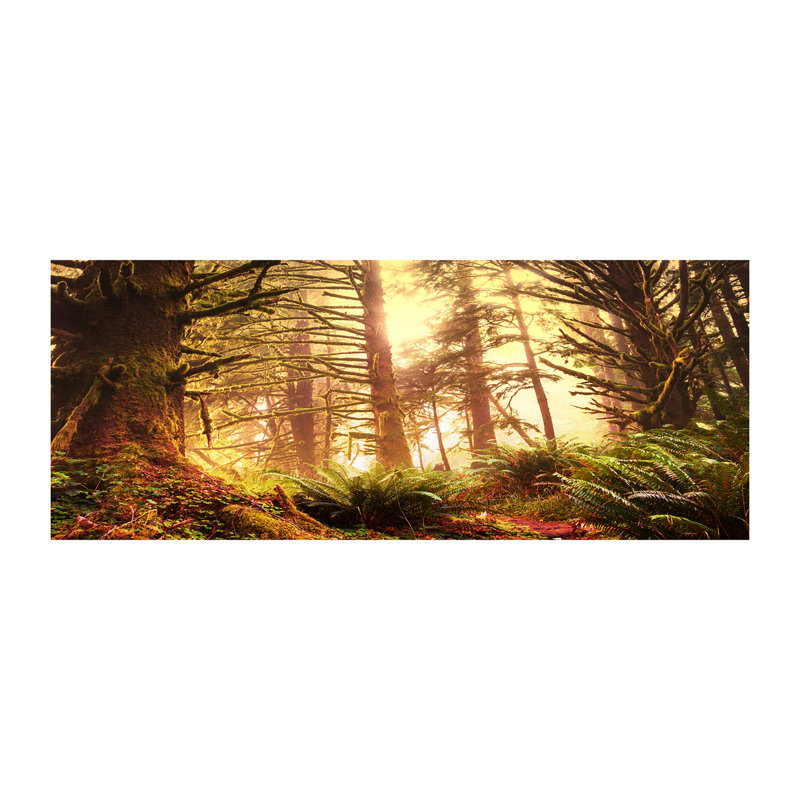 The Rainforest - Wrapped Canvas Print