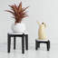 Plant Stand-1799716467