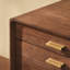 Organisateur de bureau en bois de noyer noir, armoire de rangement à 5 tiroirs pour fournitures de bureau, bijoux, cosmétiques, artisanat. -1370034430
