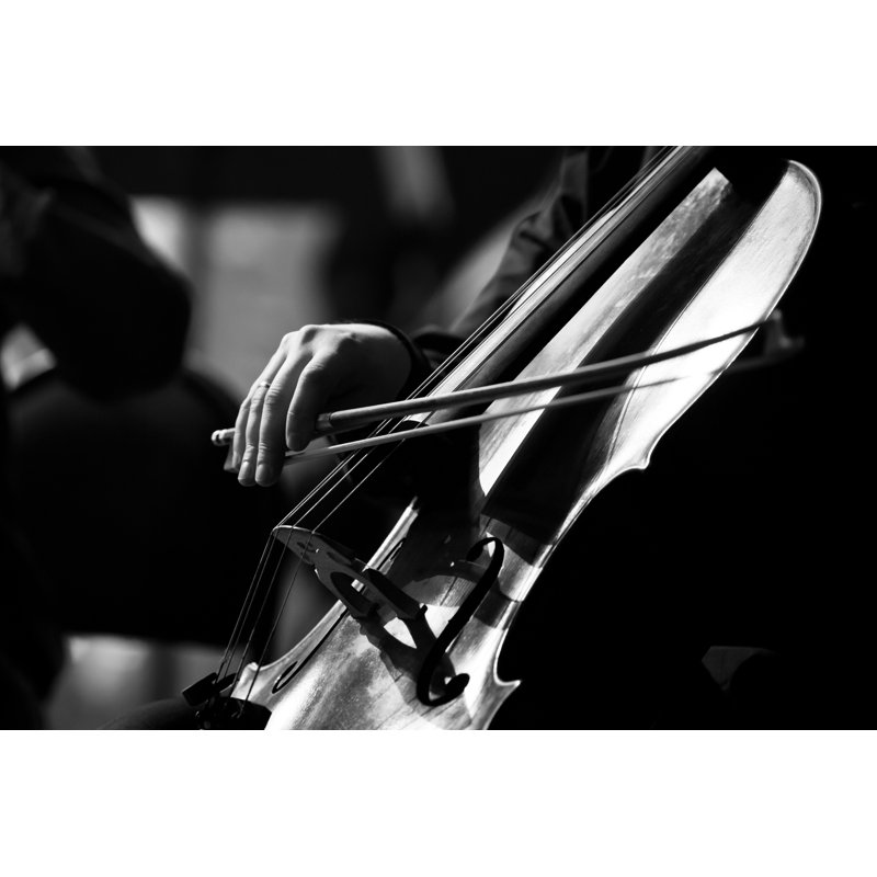 Musician Hand Playing The Cello by Furtseff - Wrapped Canvas Print, 20cm H x 30cm W