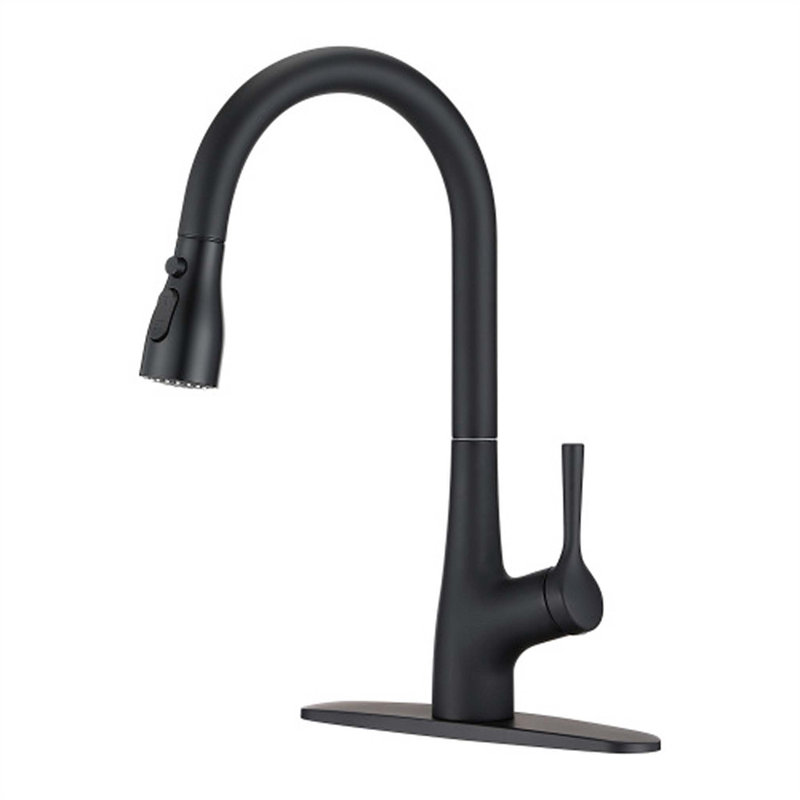 Red Cloud Pull Down Kitchen Faucet, Matte Black