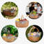 Wicker Picnic Basket