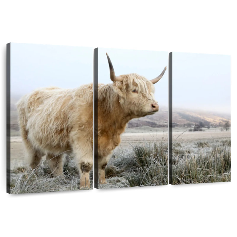 Vache sauvage sauvage des Highlands, H 42 po x l 65 po