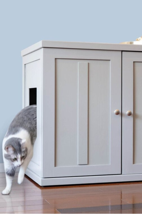 Cat Litter Boxes & Litter Box Enclosures