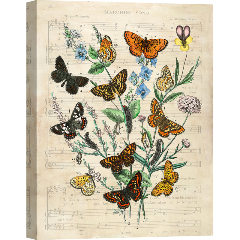 European Butterflies, After Kirby by Stef Lamanche - Wrapped Canvas Print, 70cm H x 50cm W x 4m D