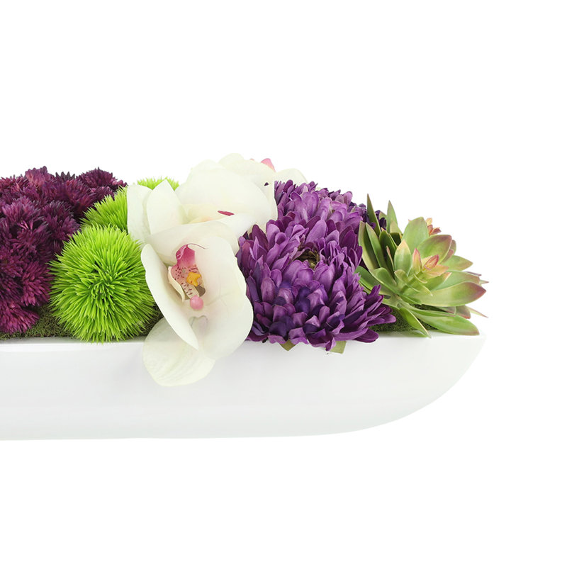 Orchidée Adelina et arrangement de plantes grasses, H 6,5 po x l 19,5 po x P 8 po