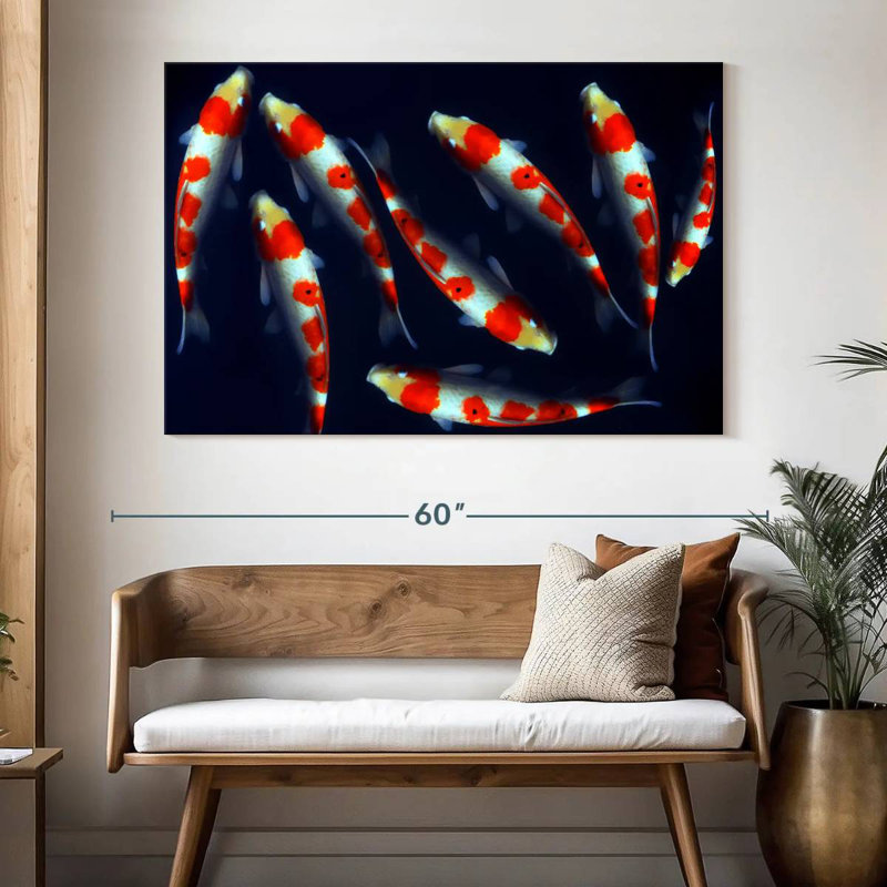 Poissons koi Brampt Sleek, H 34 po x l 51 po