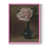Rose n'est pas disponible