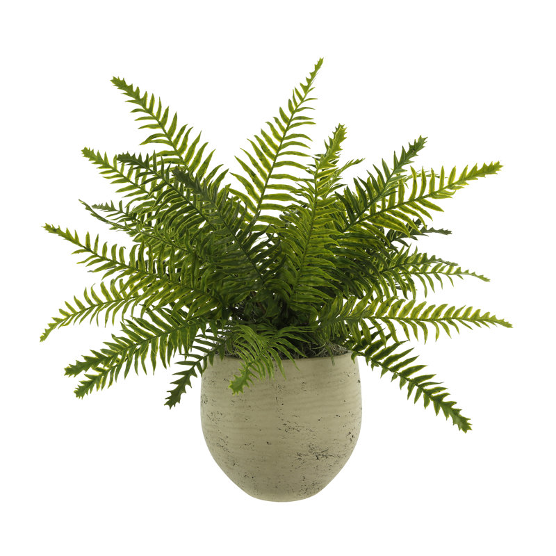Outdoor UV-Rated Fern in Fiberstone Pot, Gray