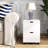 2-Drawer Mobile Wood File Cabinet, Storage Cabinet for Home, Under Desk Rolling File Cabinets