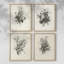 «Vintage Floral Print», impression encadrée, ensemble de 4-749230456-749230455