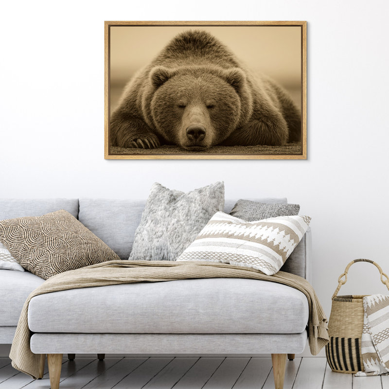 «Sleeping Brown Bear», reproduction d'art sur toile encadrée, sépia, H 16 po x l 24 po, Cadre naturel flottant
