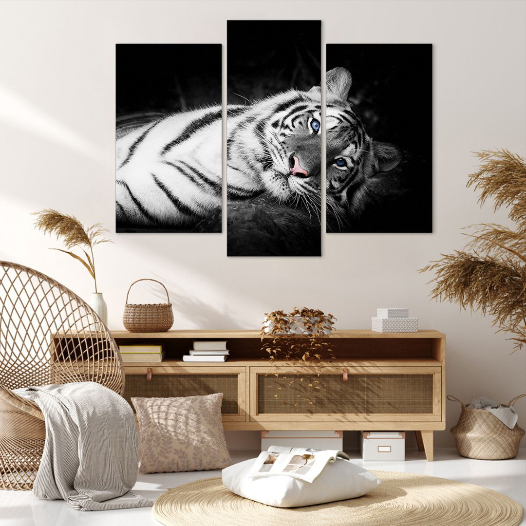 3-tlg. Leinwandbilder-Set White Tiger Black and White